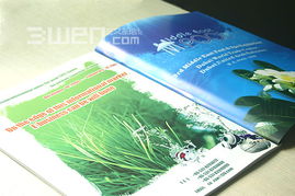 從品牌視覺到文化內(nèi)核 VI設(shè)計如何賦能企業(yè)的文體氣質(zhì)